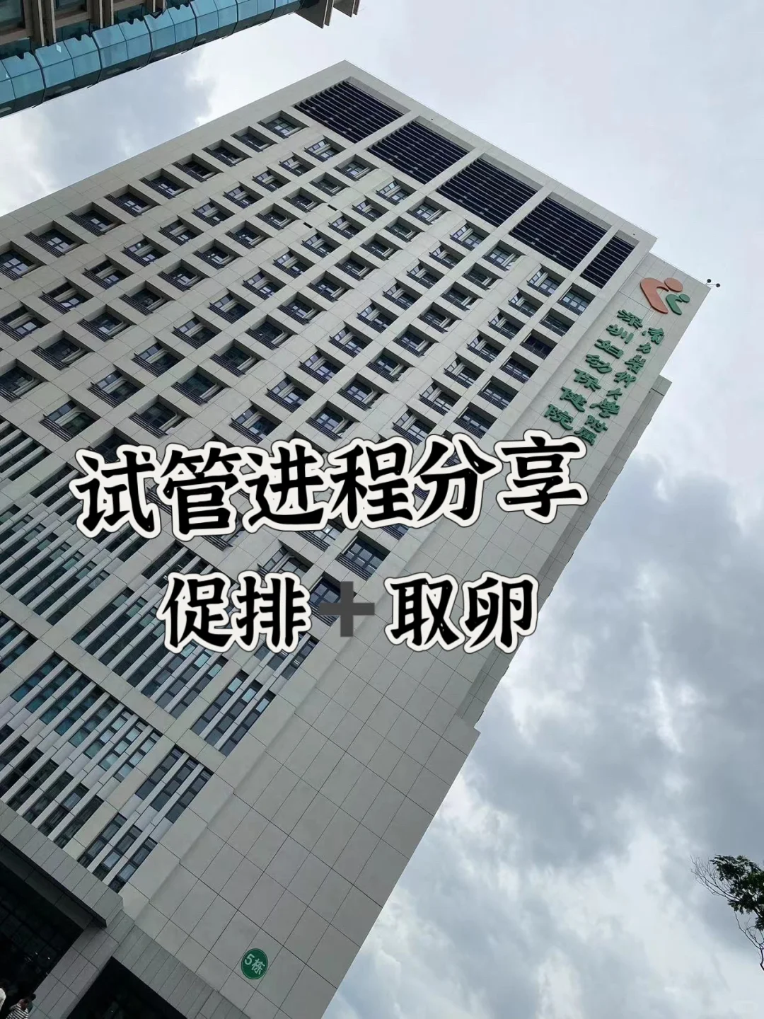 33岁试管🧪备孕过程（坐标：深圳）,代孕产子中心哪家安全,第三代试管代孕可以选男孩吗