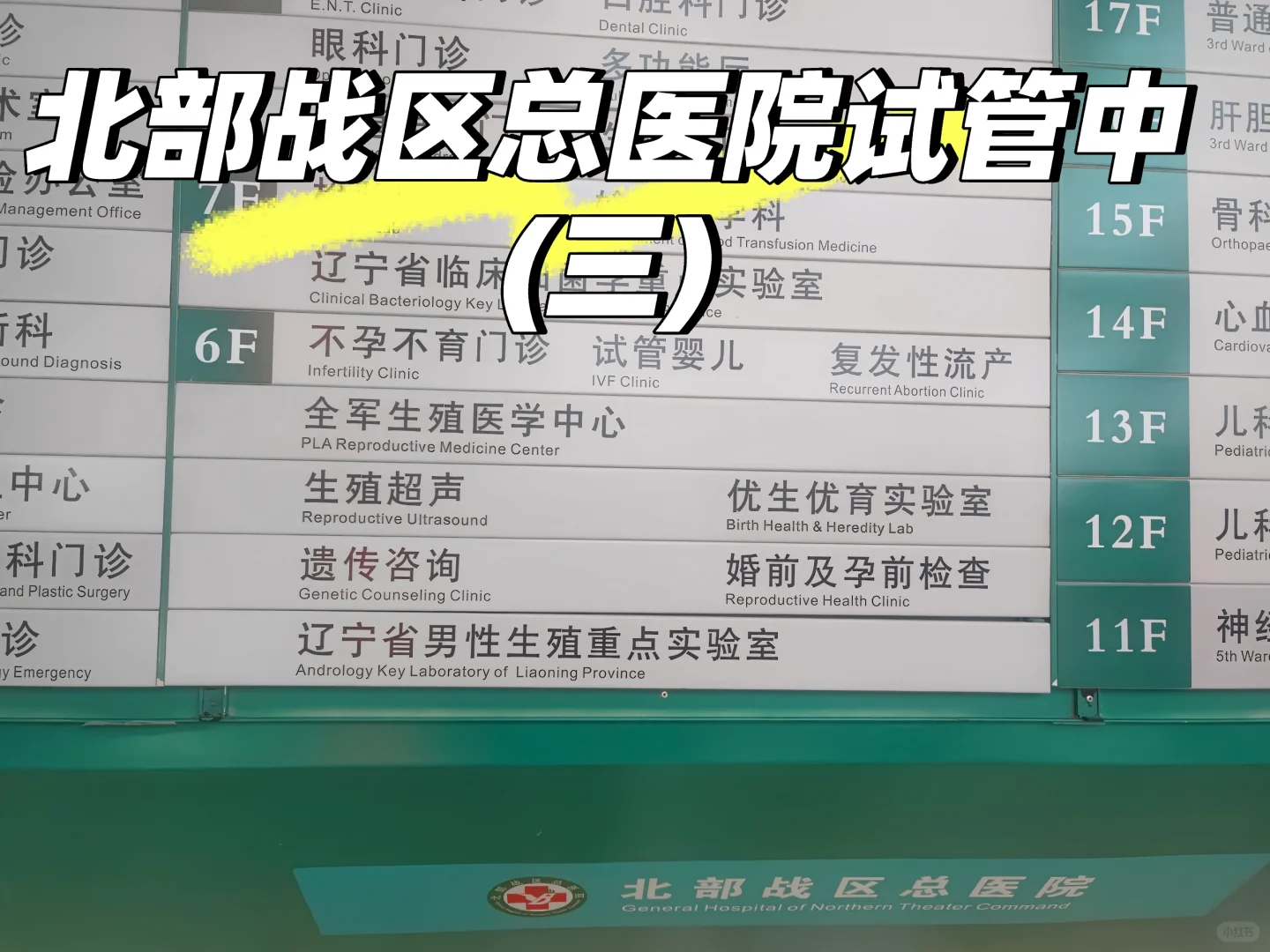 北部战区总医院试管🧪中(三),做供卵试管代孕费用高吗