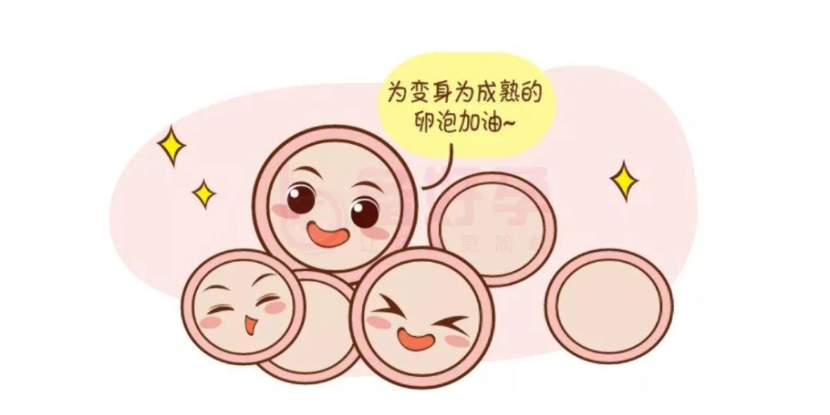 关于卵巢多囊怀孕 我想简单说我个人的情况,国内助孕户口问题咨询,国内代生男孩套餐