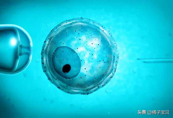 试管婴儿治疗流程